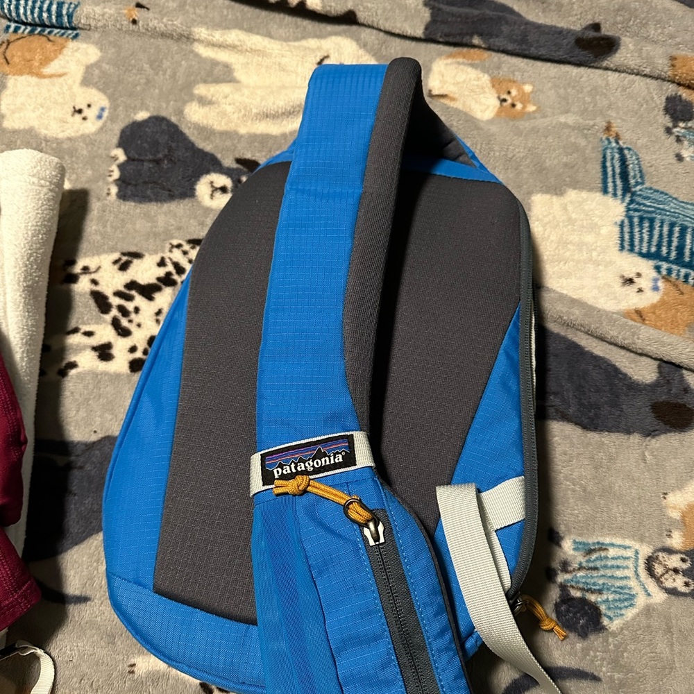 Patagonia atom sling bag